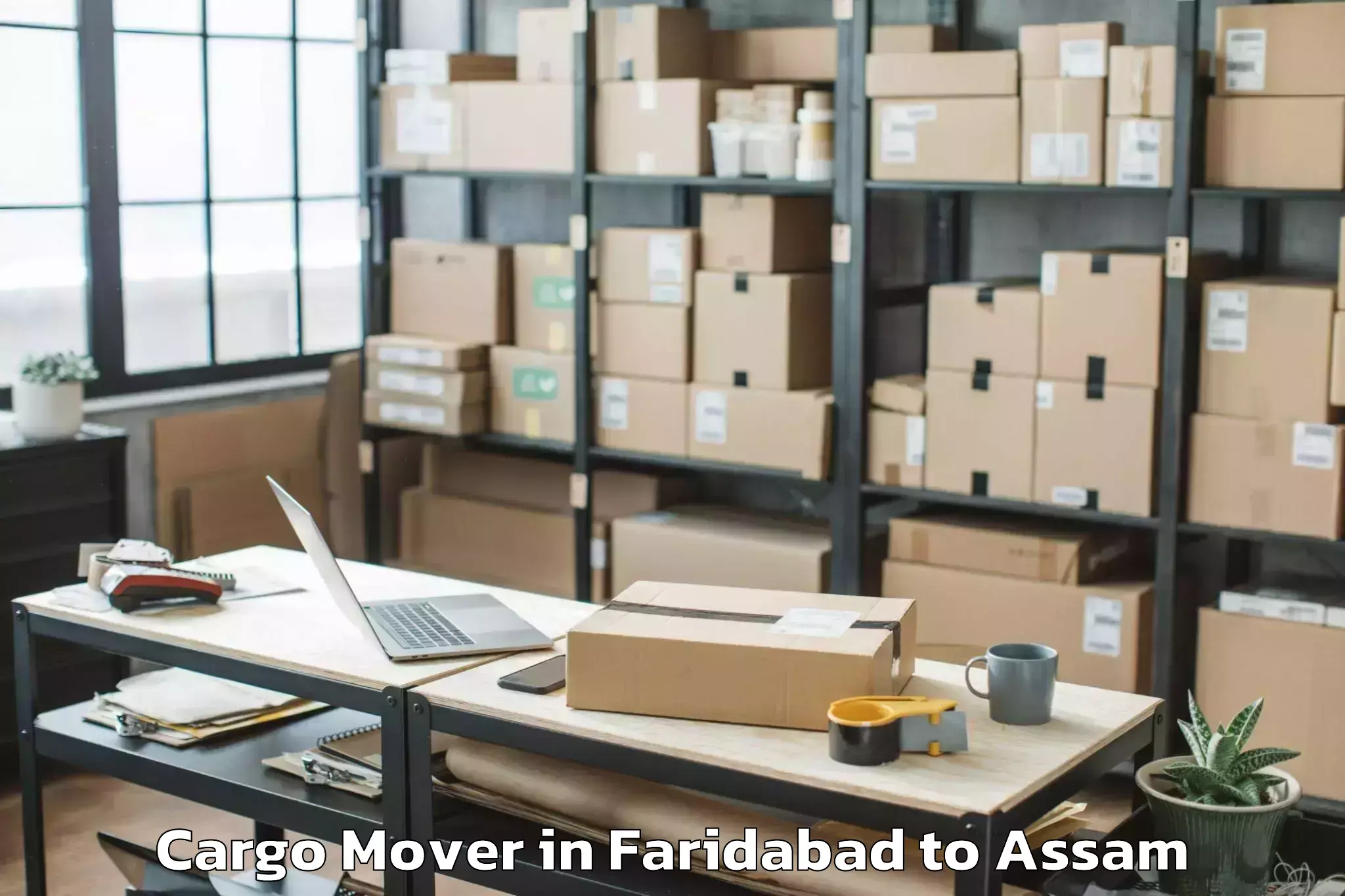 Hassle-Free Faridabad to Silapathar Cargo Mover